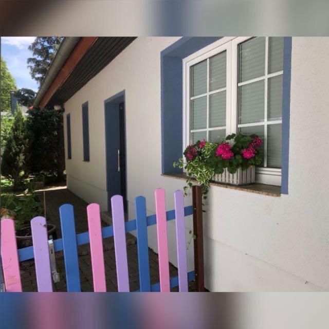 Apartment Am Harzfluesschen